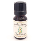 Aceite Esencial de Eucalipto Eco Labiatae