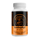 Ansiophyt