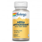 ANTIOXIDANTES NATURALES | Mega Antioxidant With Very Berry