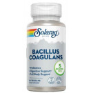 Bacillus Coagulans Solaray