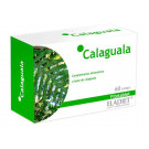 Calaguala Eladiet