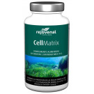 CellMatrix Rejuvenal
