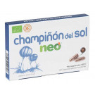 Champiñón del Sol