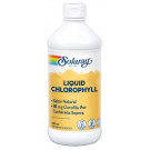 Clorofila líquida | Comprar Clorofila líquida España