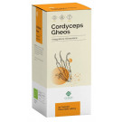 Cordyceps Gheos