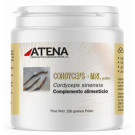 Cordyceps-MRL Polvo