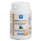 ERGYFLAVONA Nutergia