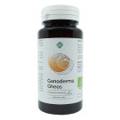 Ganoderma Gheos