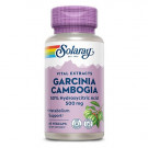 Vitamin B-1 100 mg Solaray