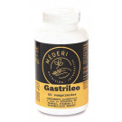 Gastrileo