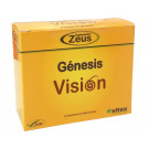Génesis Visión