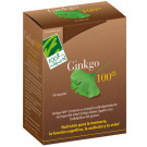Ginkgo biloba | Comprar Ginkgo biloba