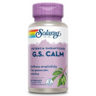 G.S. CALM