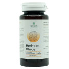 Hericium Gheos