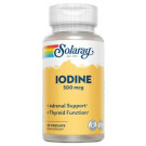 Iodine 500 mcg