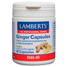 Jengibre Lamberts
