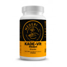 KADE-Vit