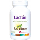 Lactán