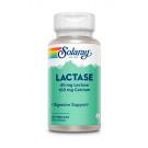 Vitamin B-1 100 mg Solaray