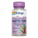 Mastic Gum (Solaray)
