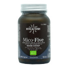 Mico-Five