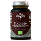 Mico-Leo