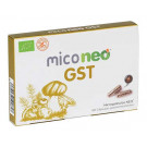 Mico Neo GST