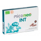 Miconeo INT