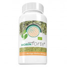 Morin Forte