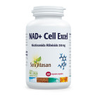 NAD + Cell Excel