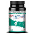 Performance Slow aging