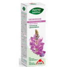 Phyto Biopole Desmodium