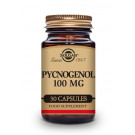 Pino extracto 100 mg Solgar