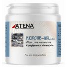 Pleurotus-MRL Polvo