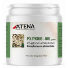 Polyporus-MRL Polvo