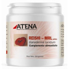 Reishi-MRL Polvo