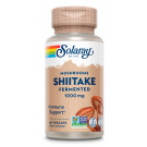 Shiitake Solaray