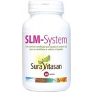 SLM-System