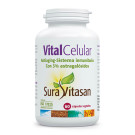 Vital Celular
