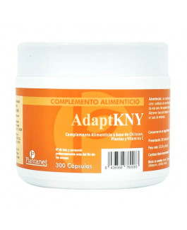 AdaptKNY (antes KIDNEY)