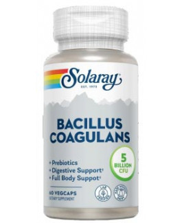 Bacillus Coagulans Solaray