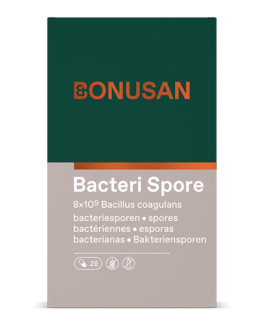 Bacteri Spore