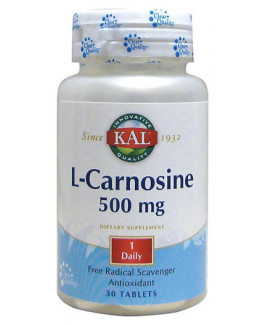 L-Carnosina|Comprar Carnosina KAL