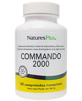 Commando 2000