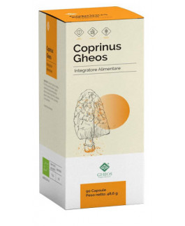 Coprinus Gheos