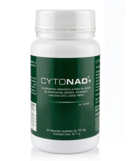 CytoNAD+