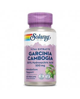 Vitamin B-1 100 mg Solaray