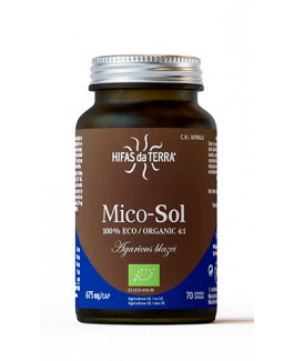 Mico-Sol Hifas da Terra