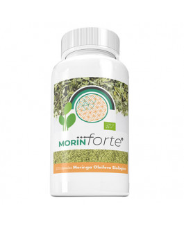 Morin Forte