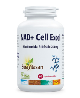 NAD + Cell Excel